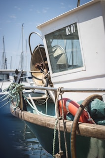A fishing boat docked at a marina with ropes and a life buoy attached. The boat has a white cabin with a window displaying '02 01'. There are other boats and masts visible in the background.