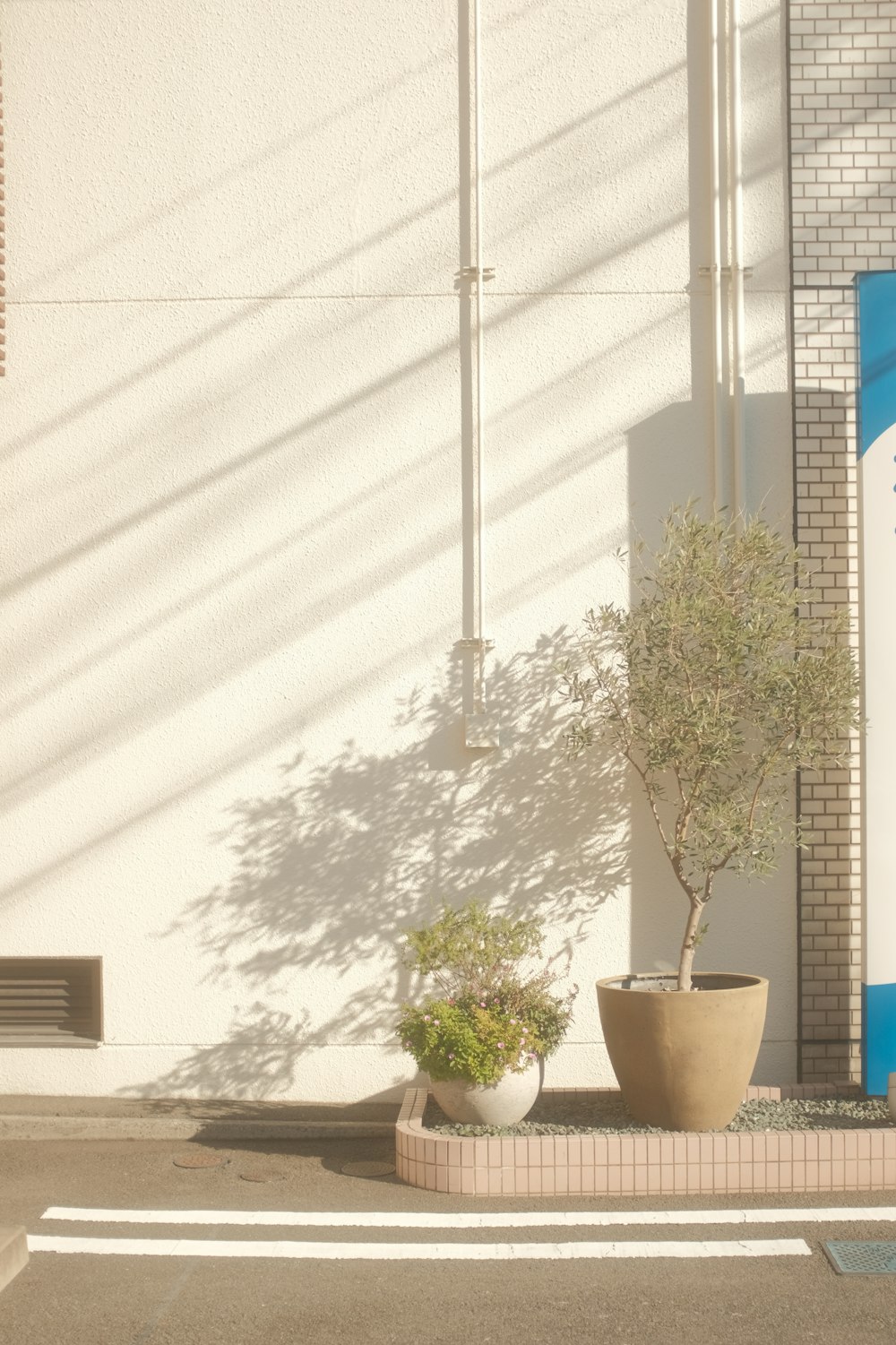 a building with a sign and a potted plant in front of it