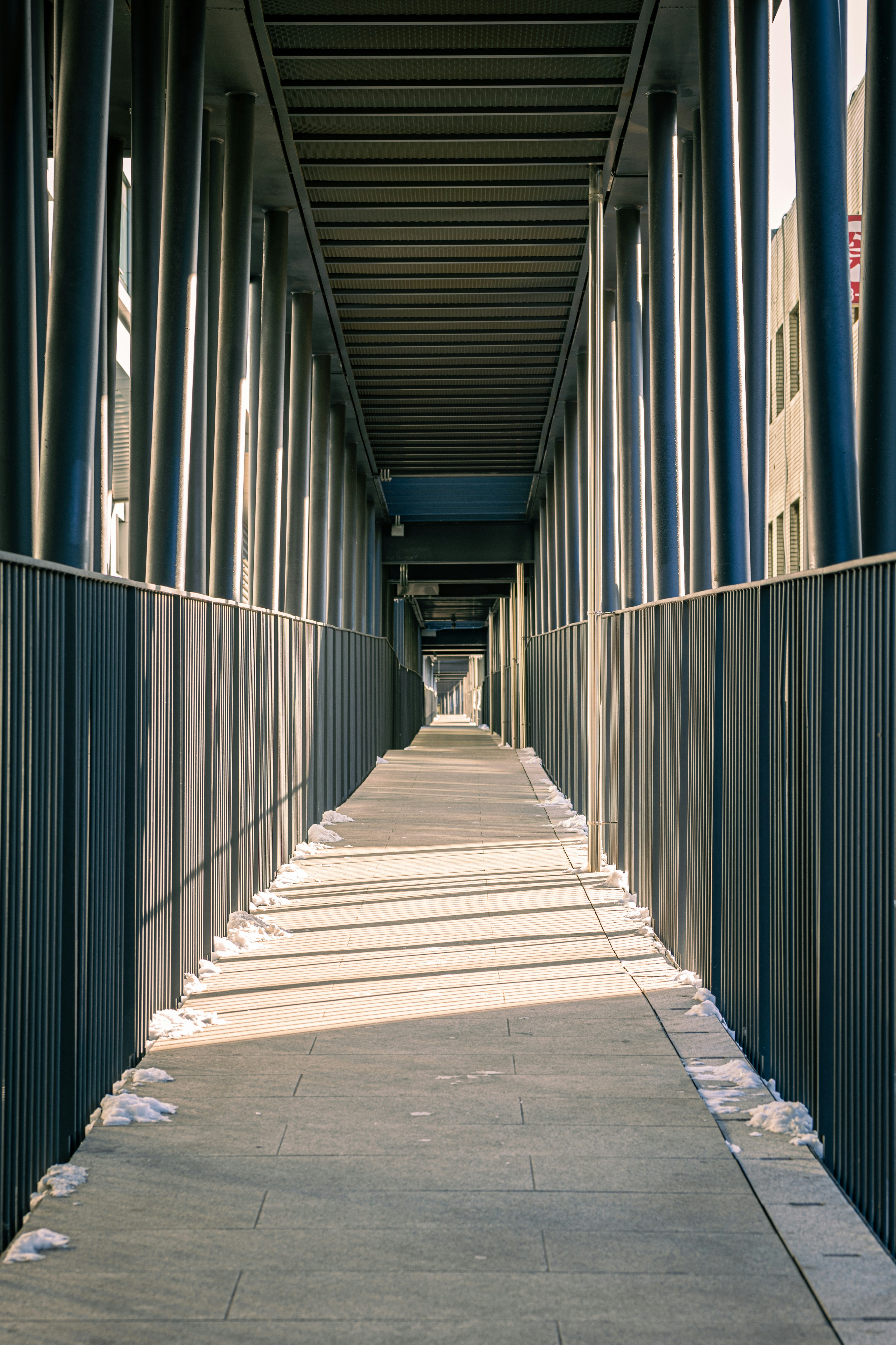 Photo by brother_yoon