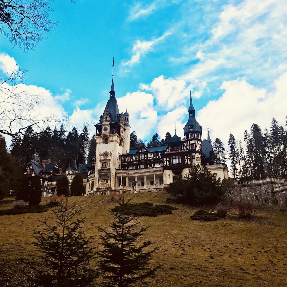 a large white castle sitting on top of a lush green hillside