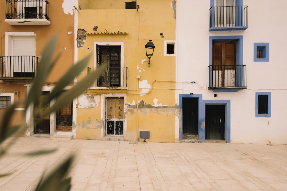 a yellow and blue building with a palm tree in front of it