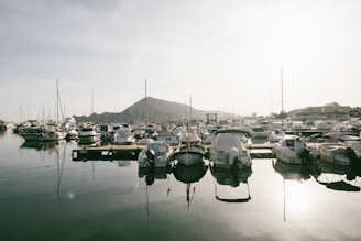 a bunch of boats that are in the water