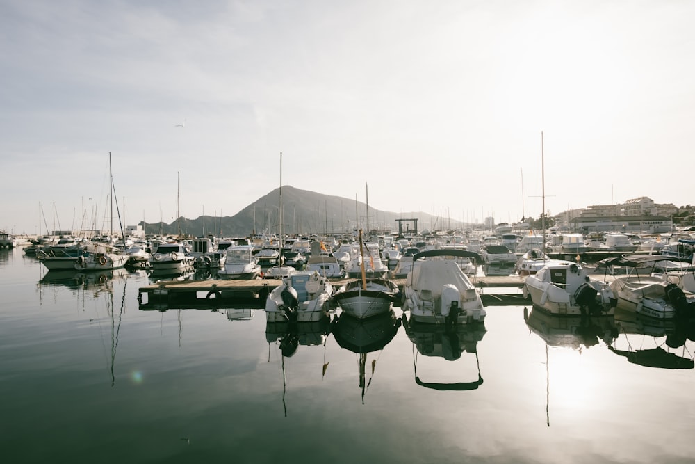 un tas de bateaux qui sont dans l’eau