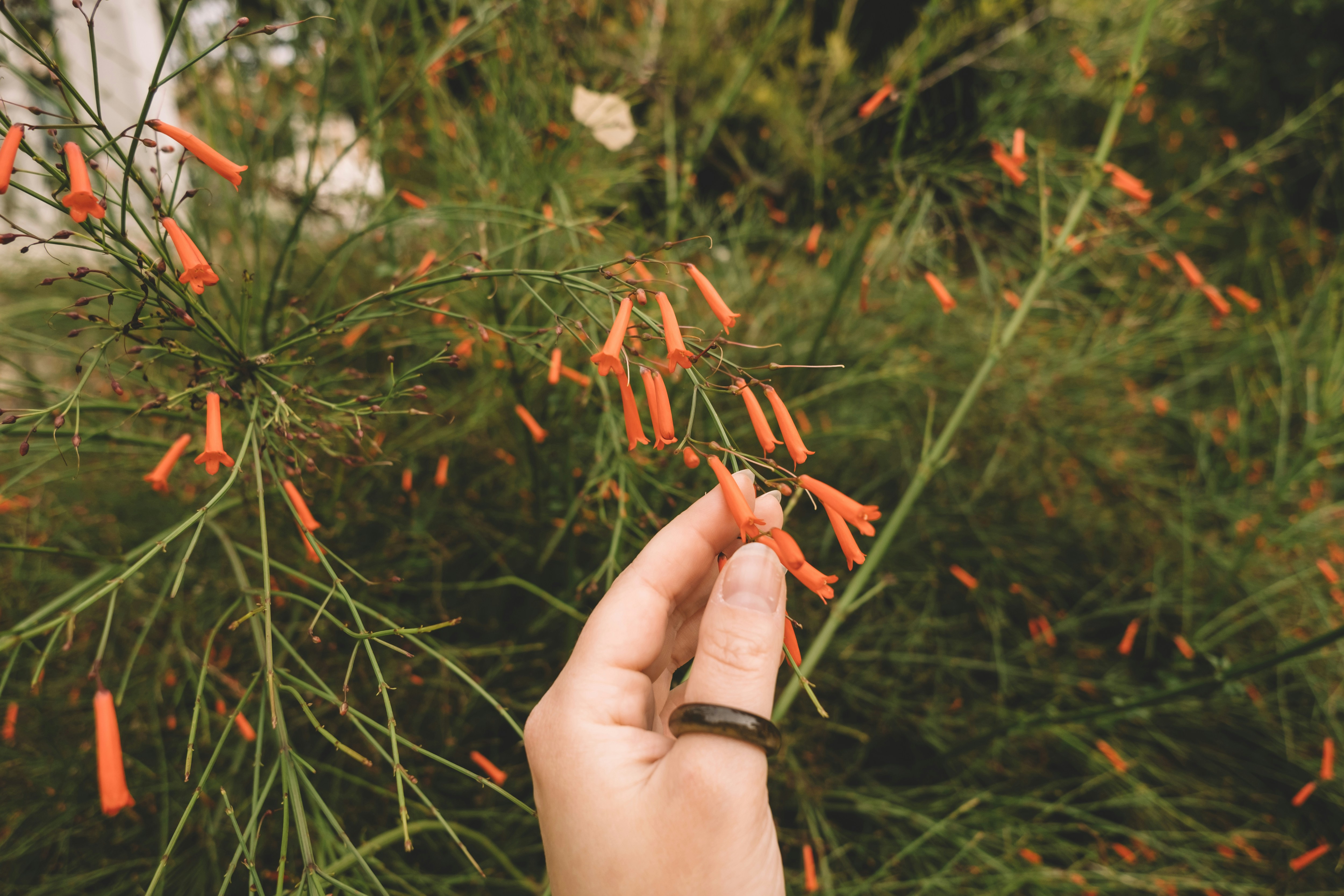 Photo by jelenalapina