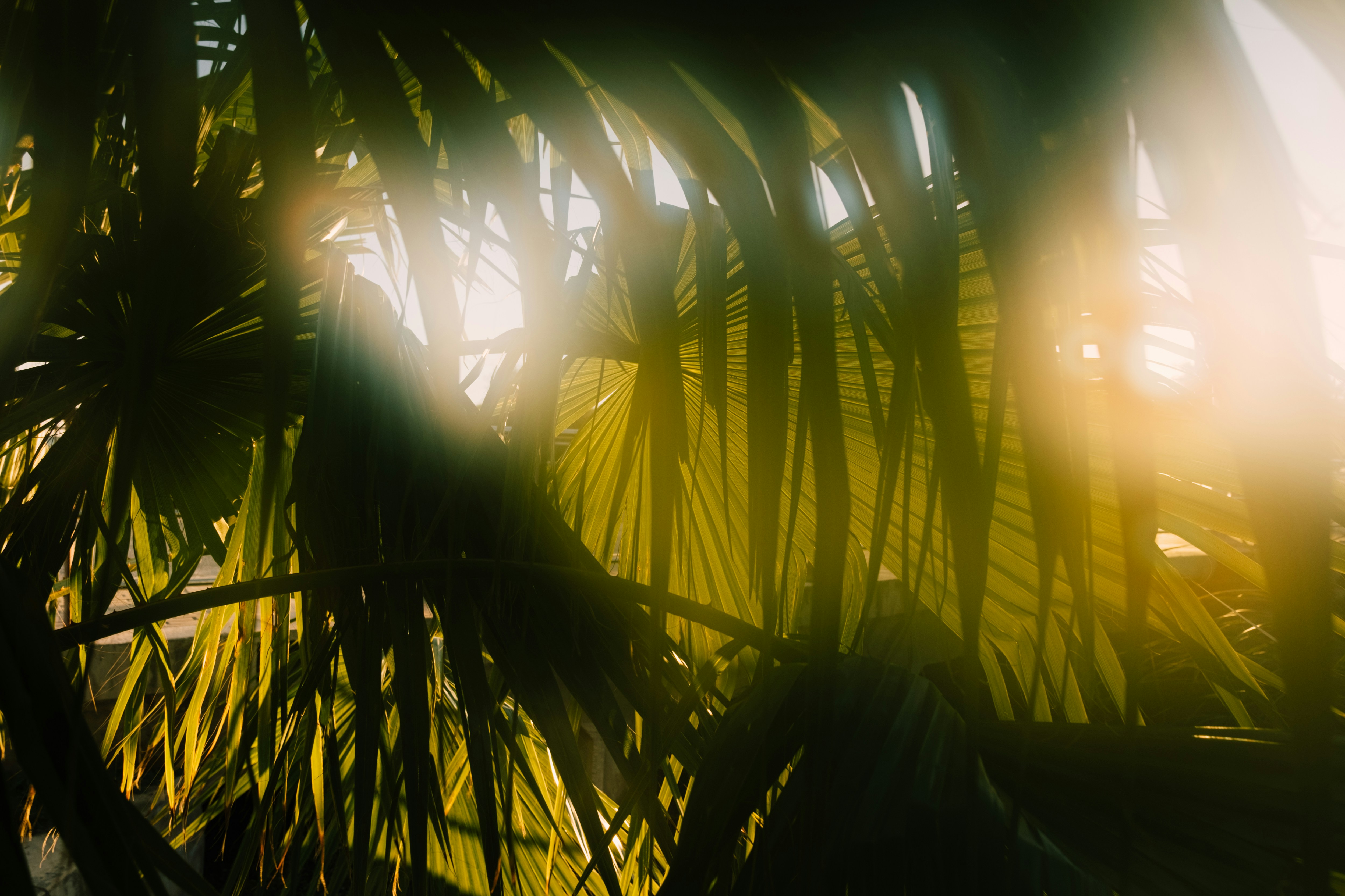 Photo by jelenalapina