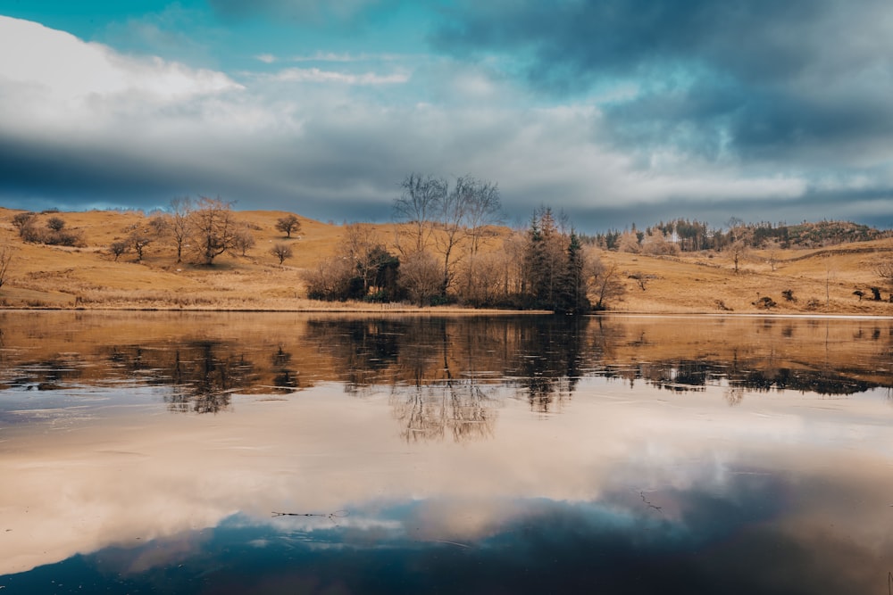 un grande specchio d'acqua circondato da alberi