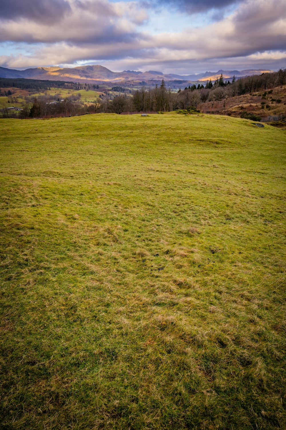 a grassy field with mountains in the distance