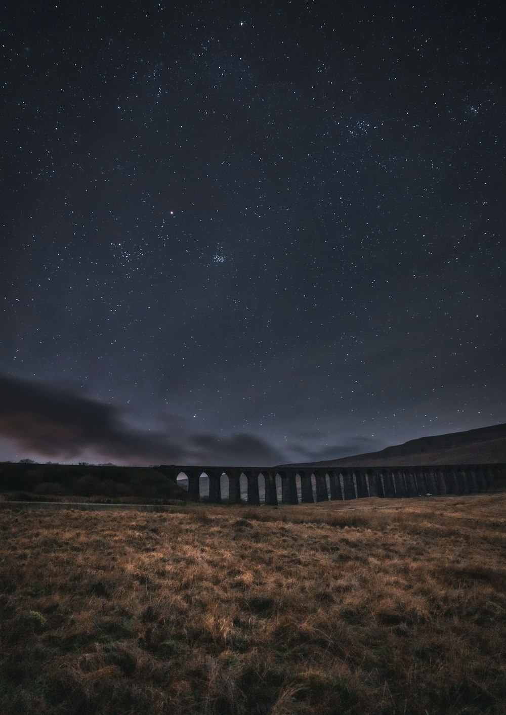 a train traveling across a grass covered field under a night sky