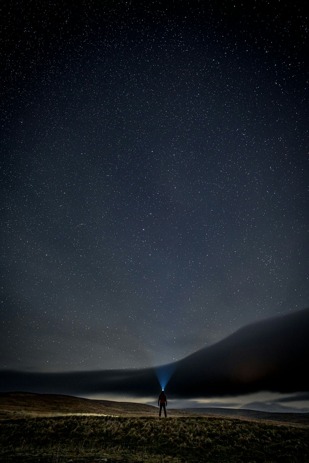 a person standing in a field under a night sky