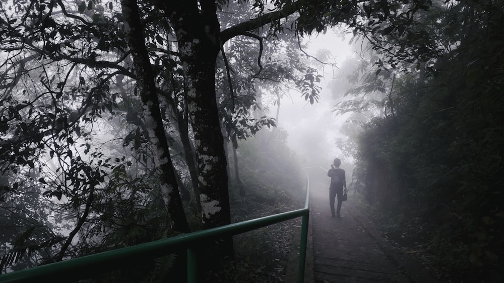Una persona che cammina lungo un sentiero nel bosco