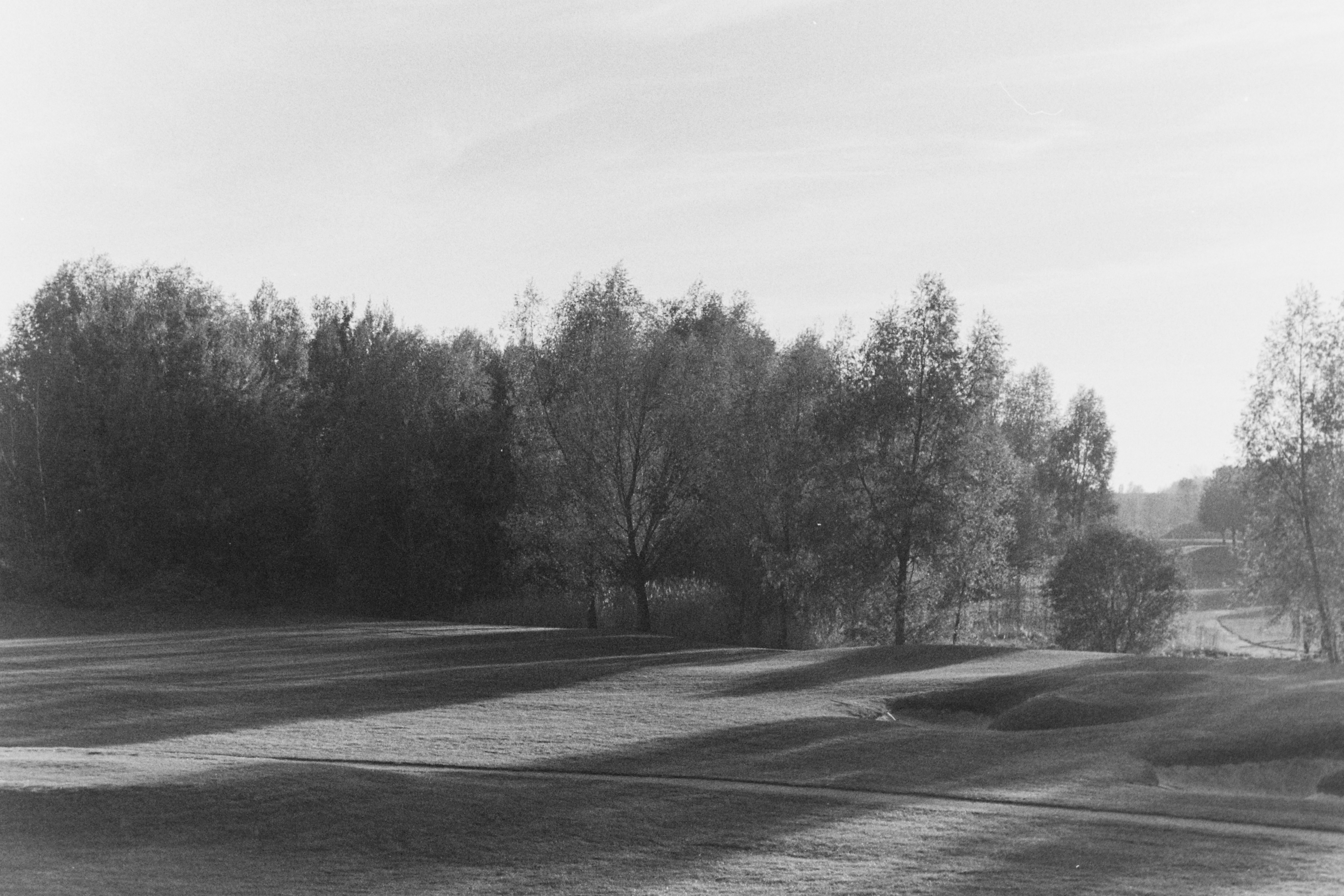 Photo by artistseyes