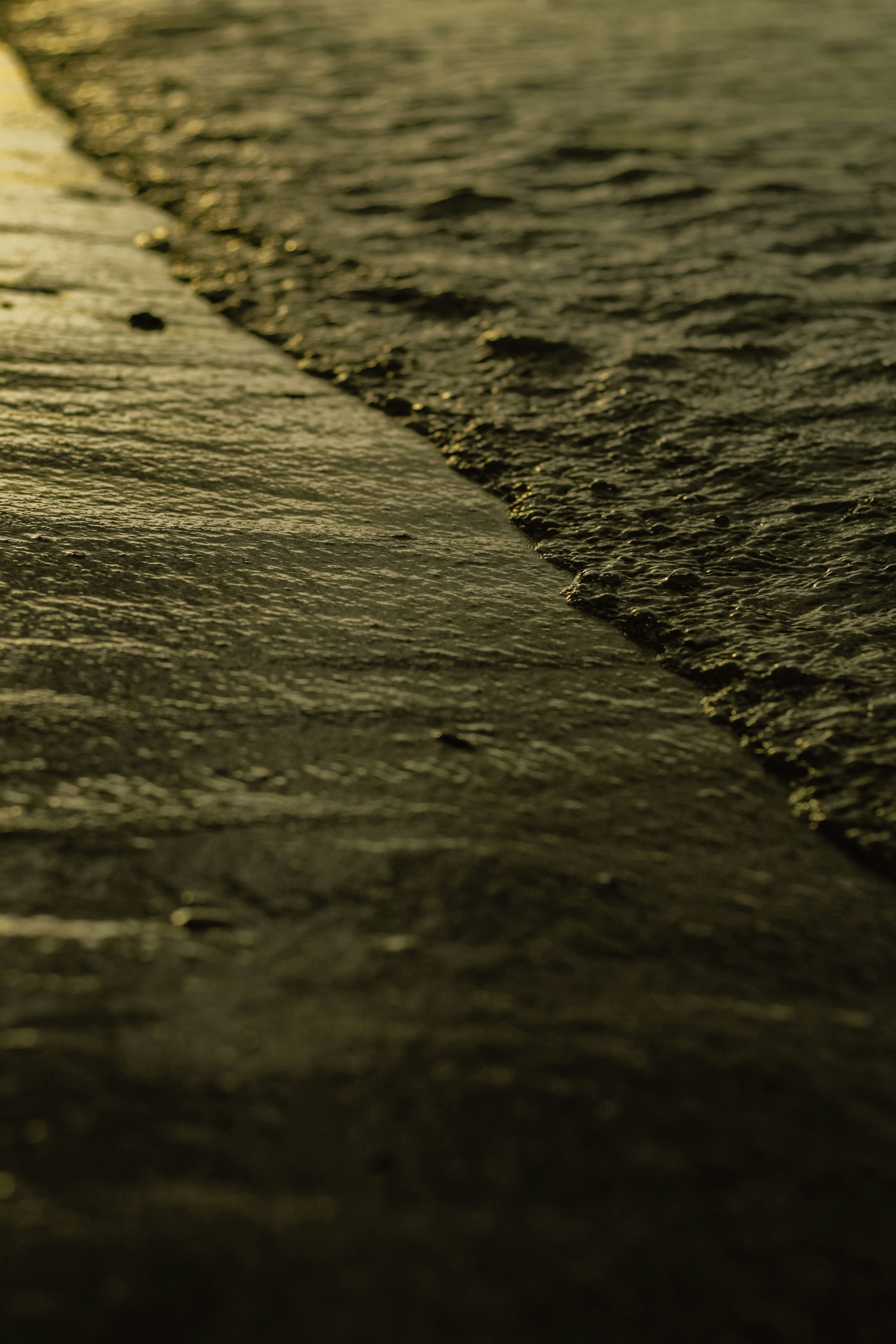 Photo by jamillegrsl