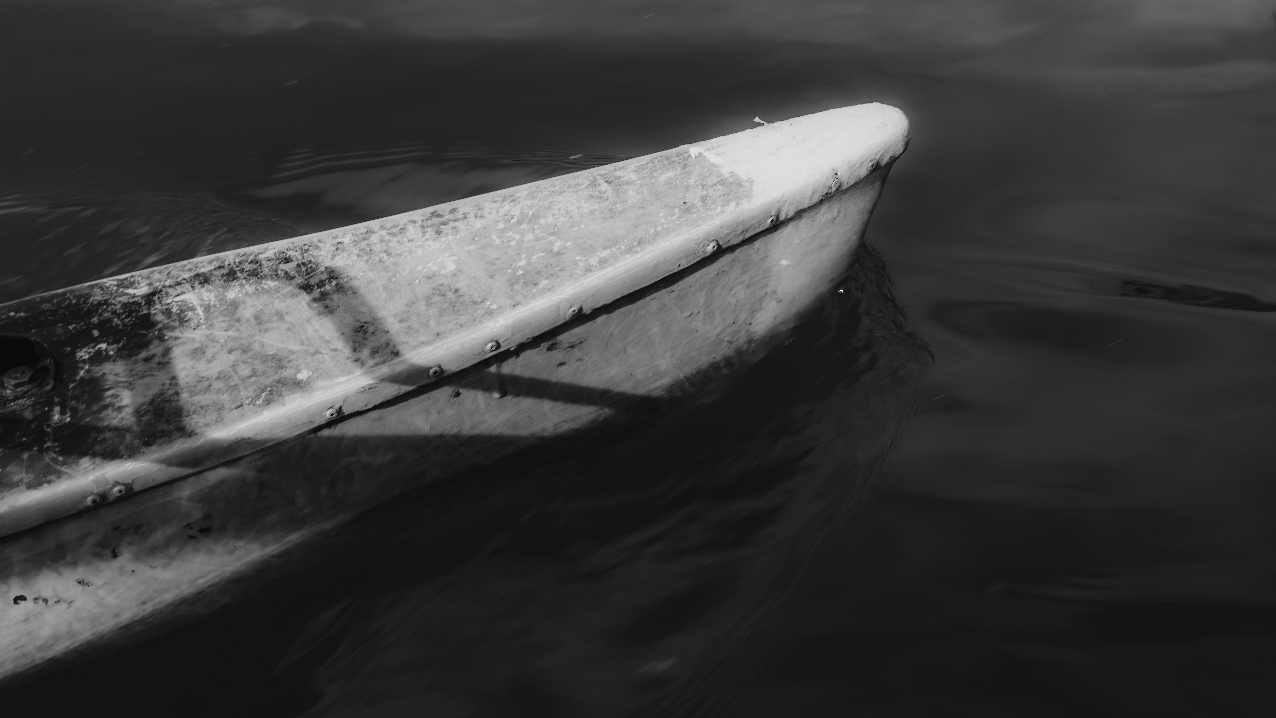 Photo by jamillegrsl