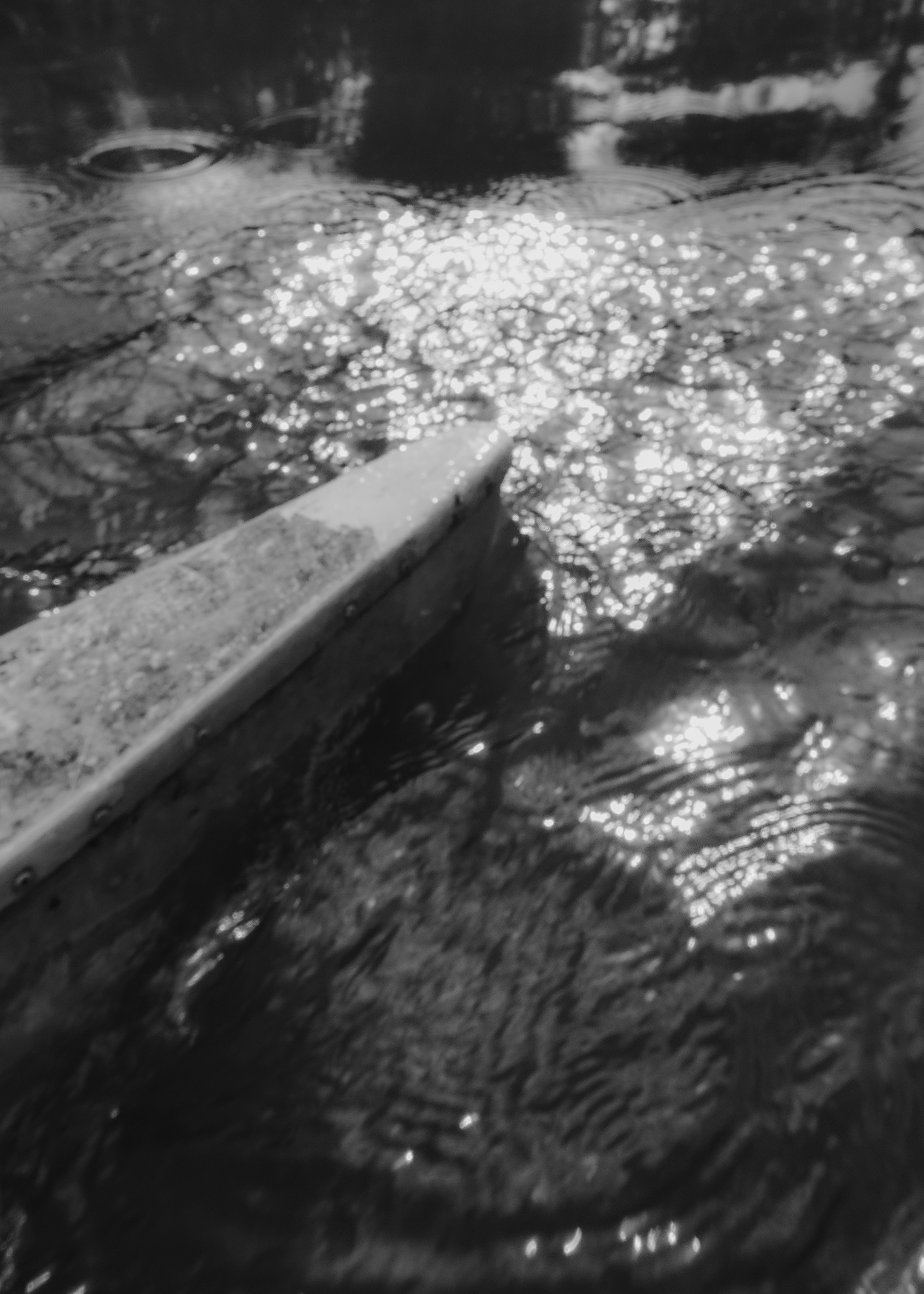 Photo by jamillegrsl