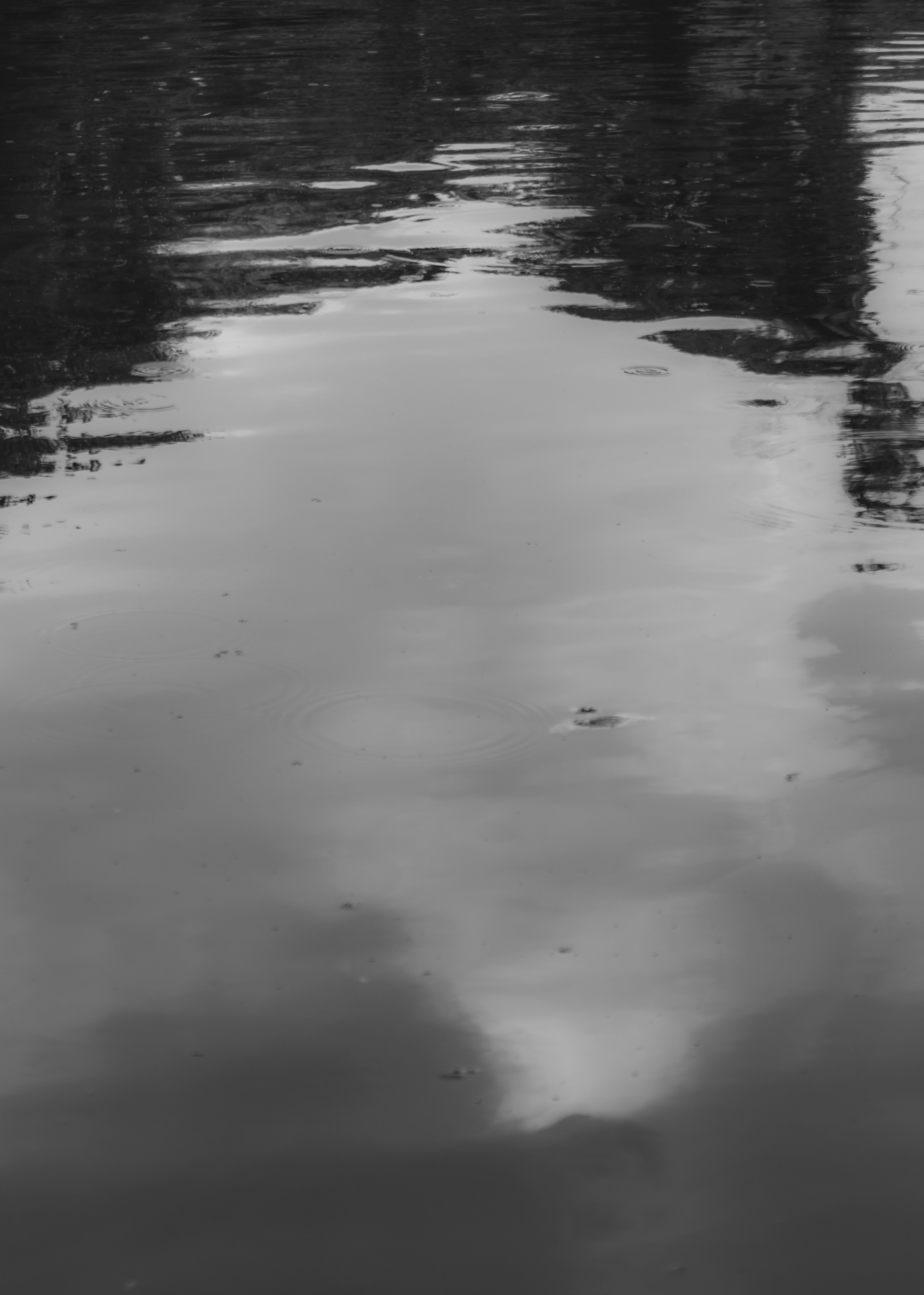 Photo by jamillegrsl