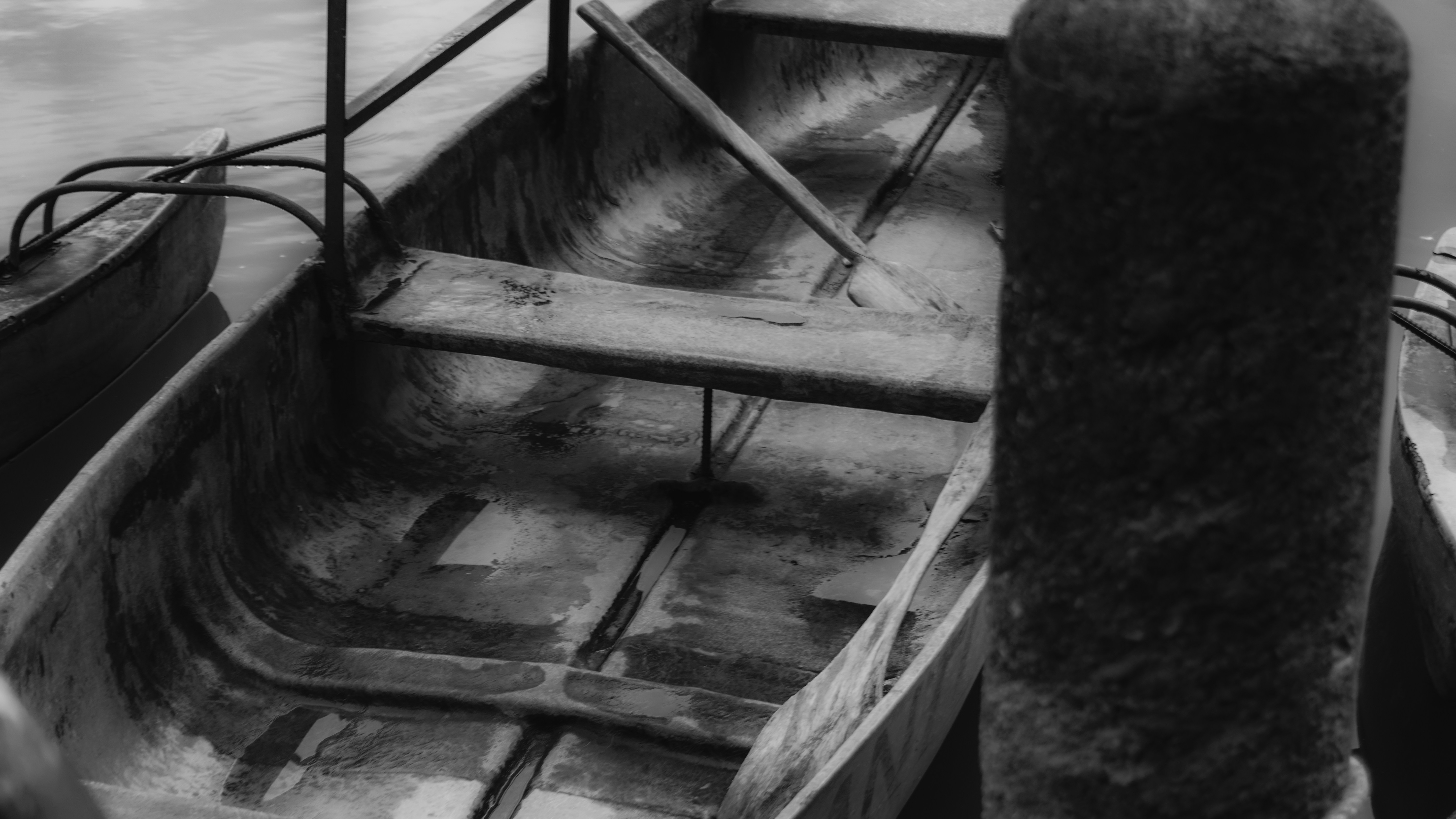 Photo by jamillegrsl