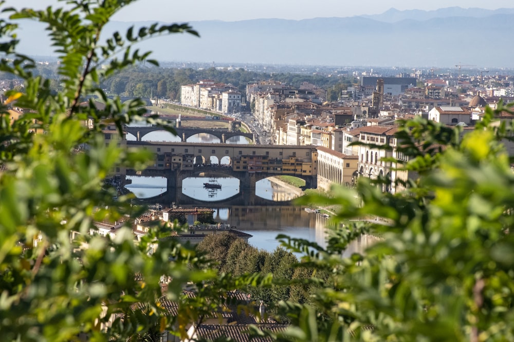 a bridge over a river with a city in the background