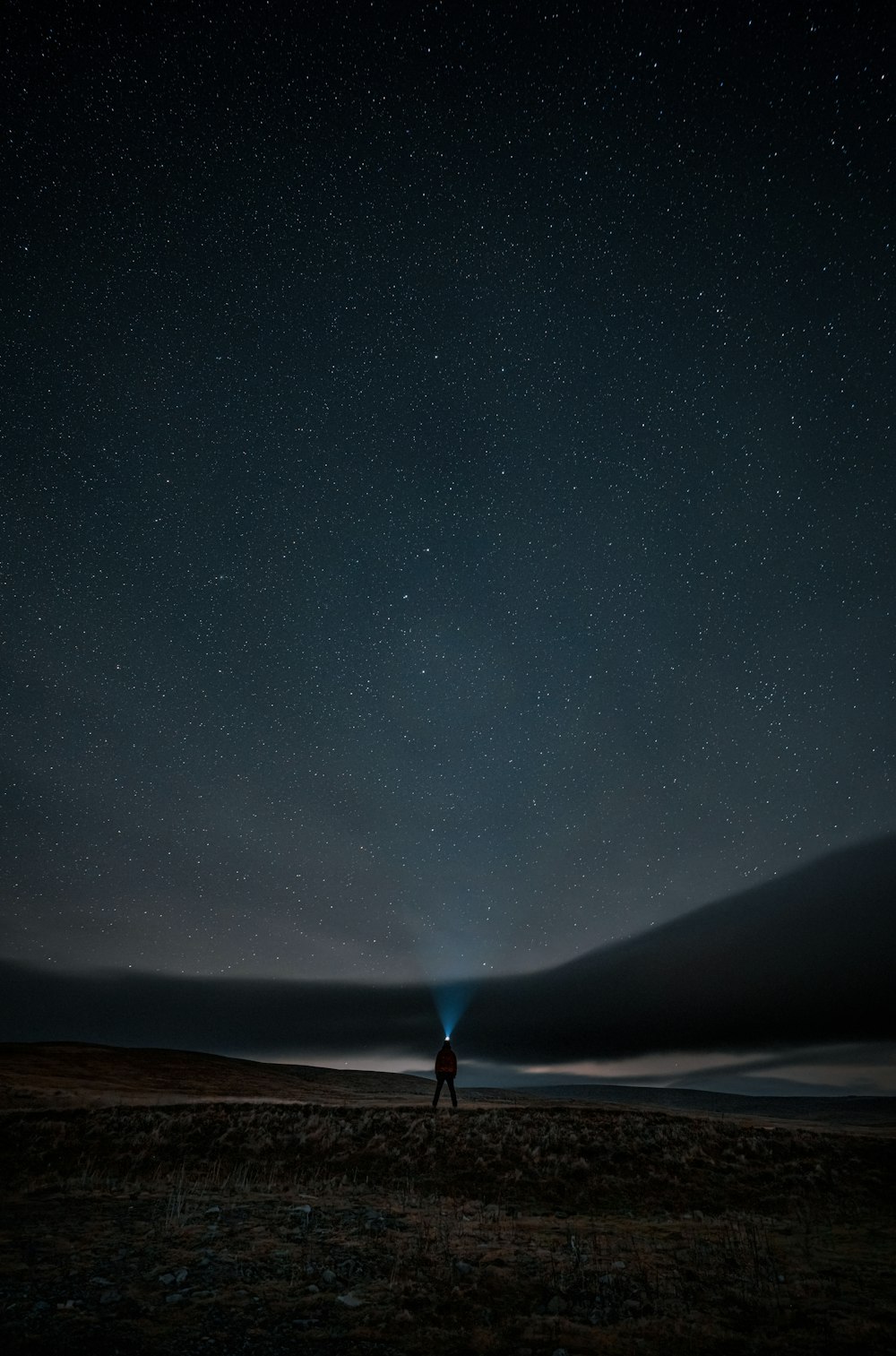 a person standing in the middle of a field under a night sky