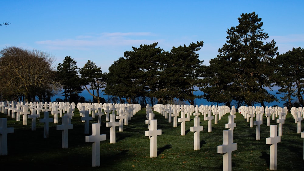 a cemetery with many headstones and trees in the background