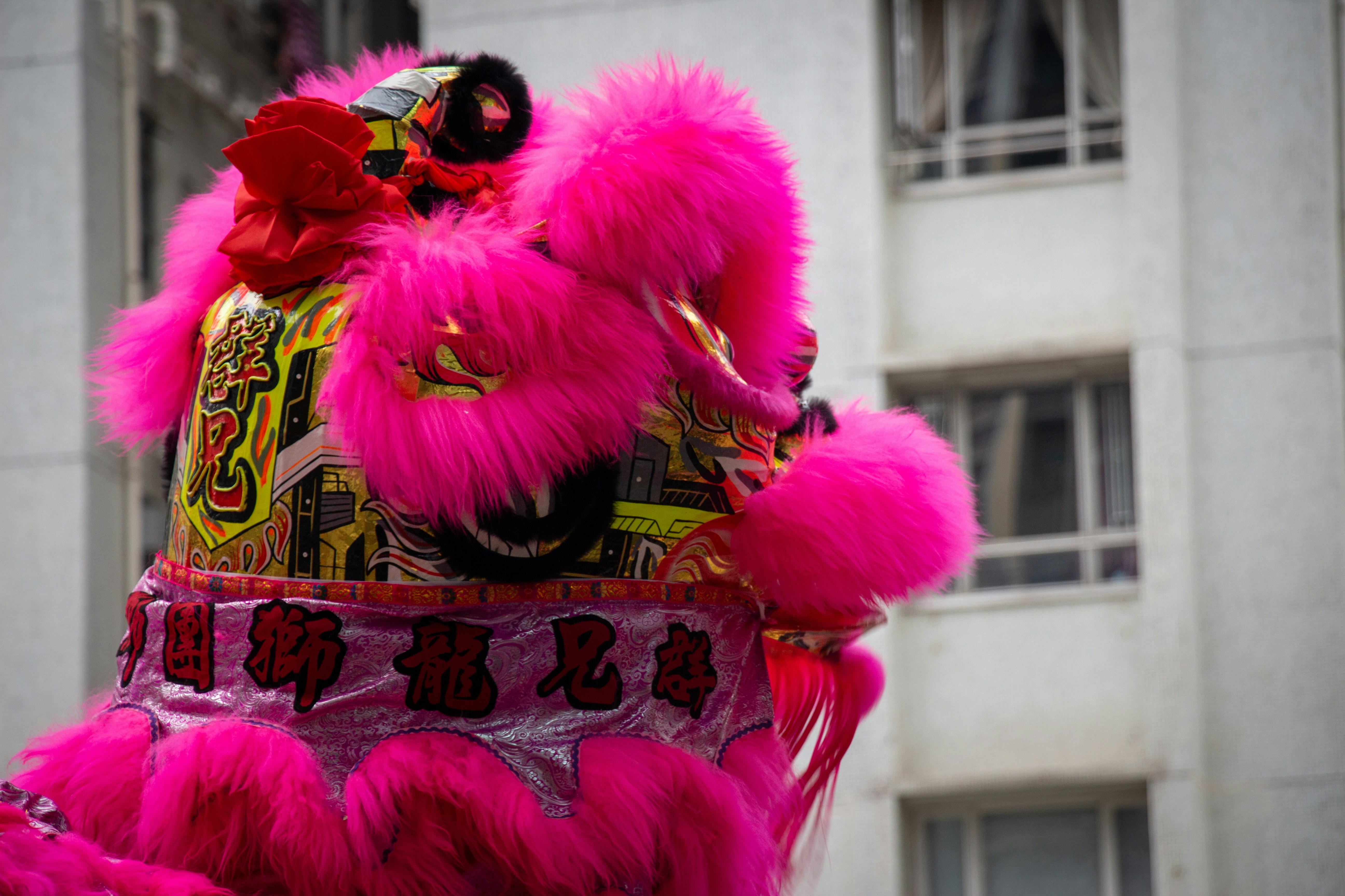 Photo by shreyaantech