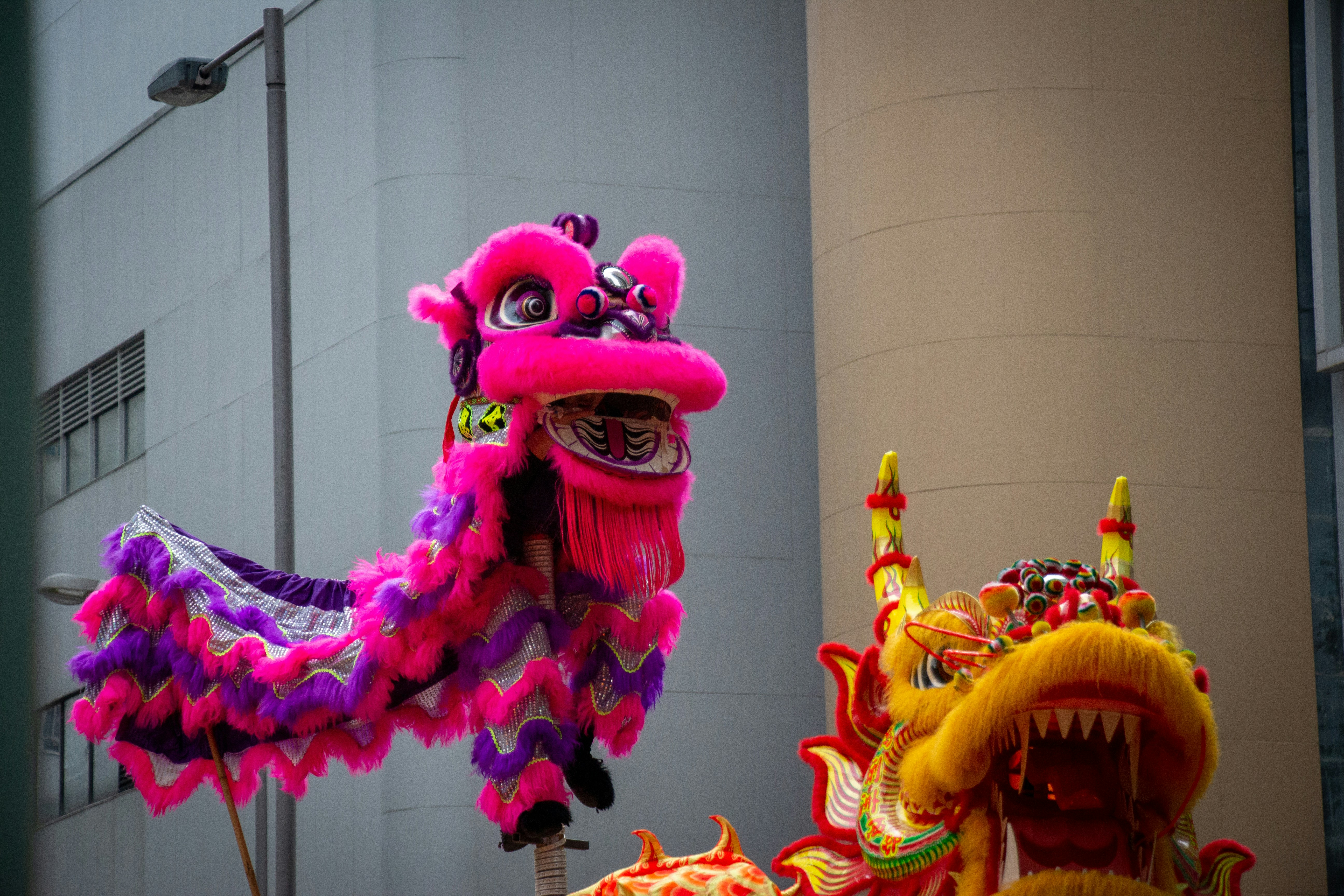 Photo by shreyaantech