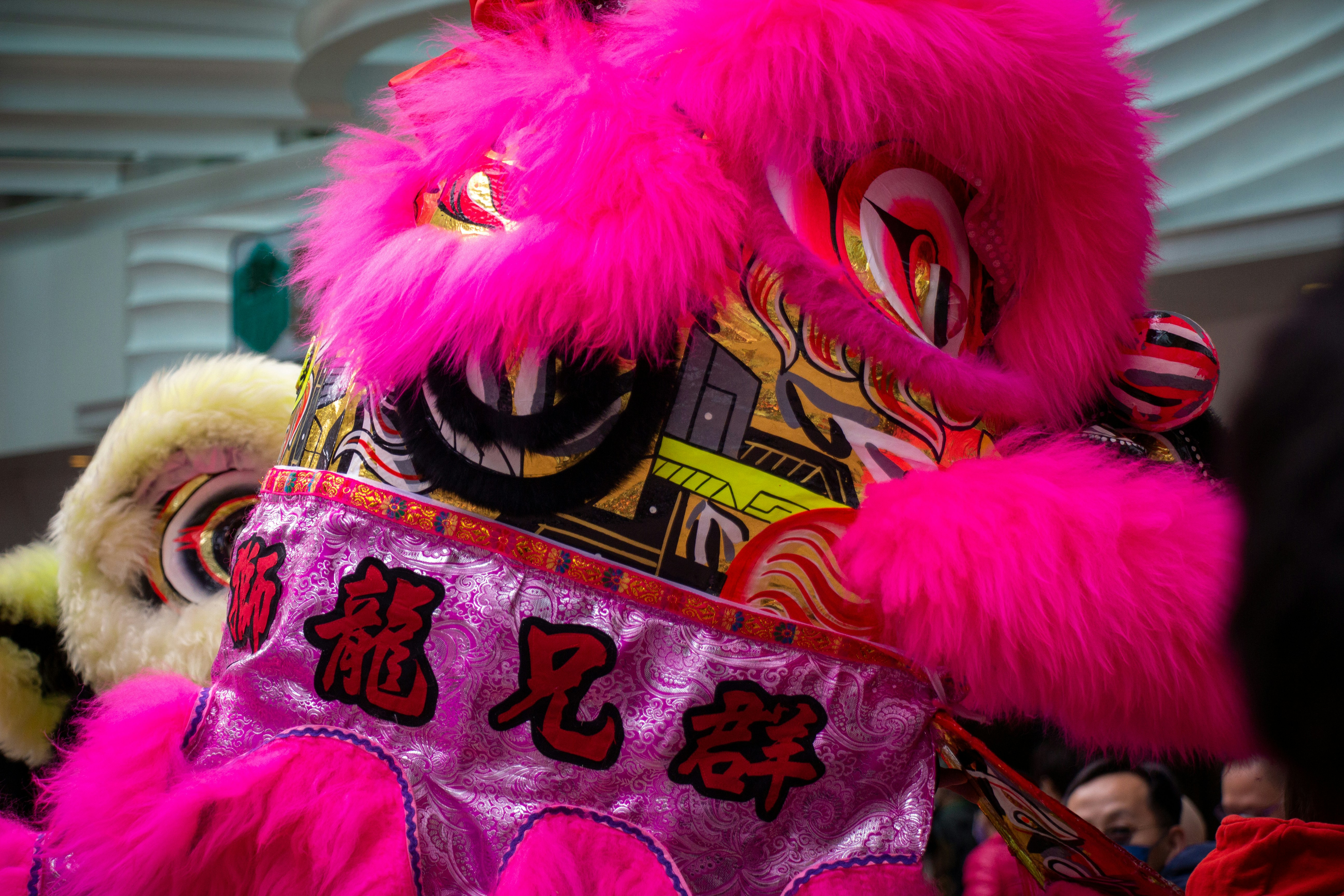 Photo by shreyaantech