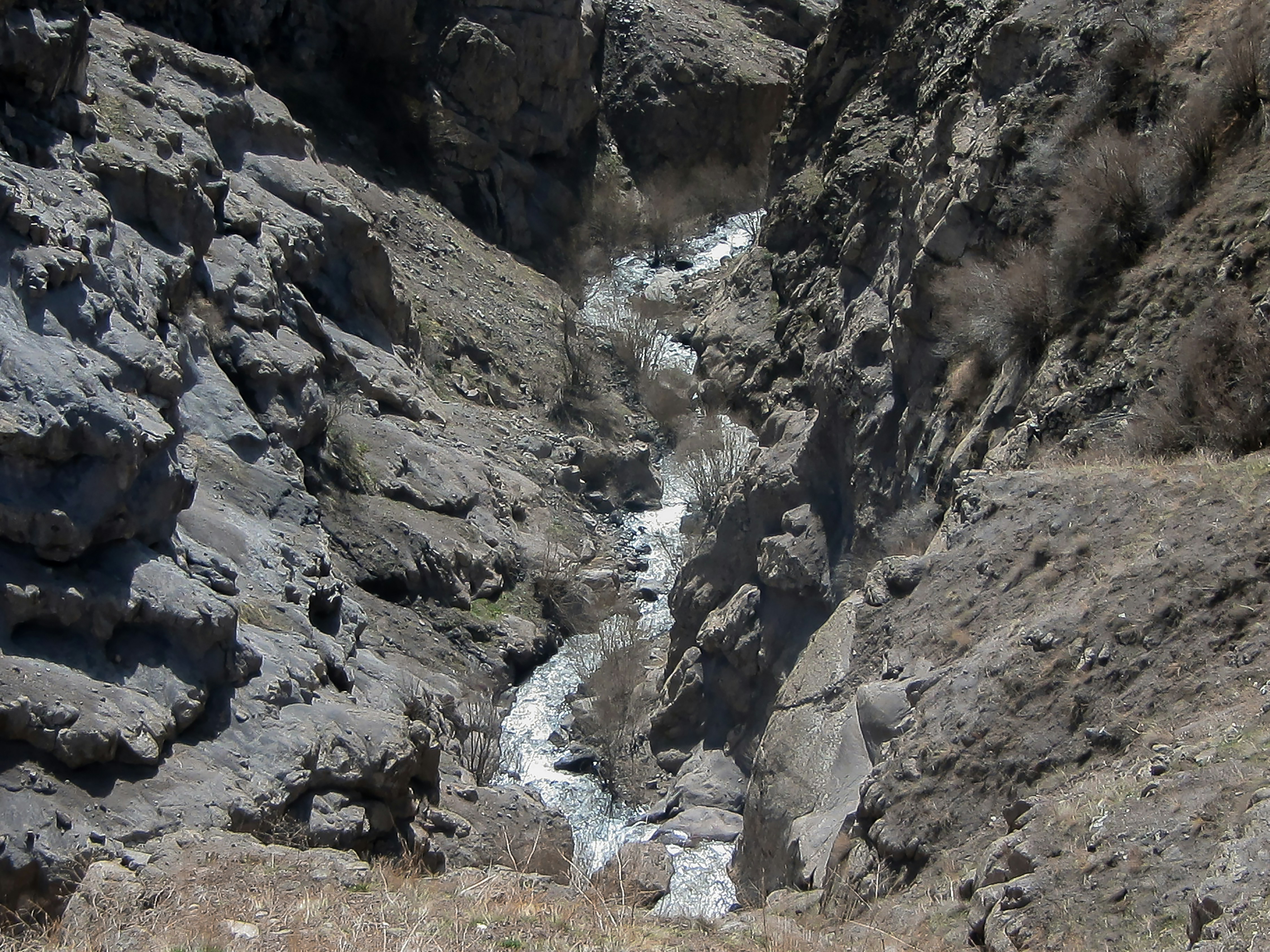 Photo by alirezaakhlaghiofficial