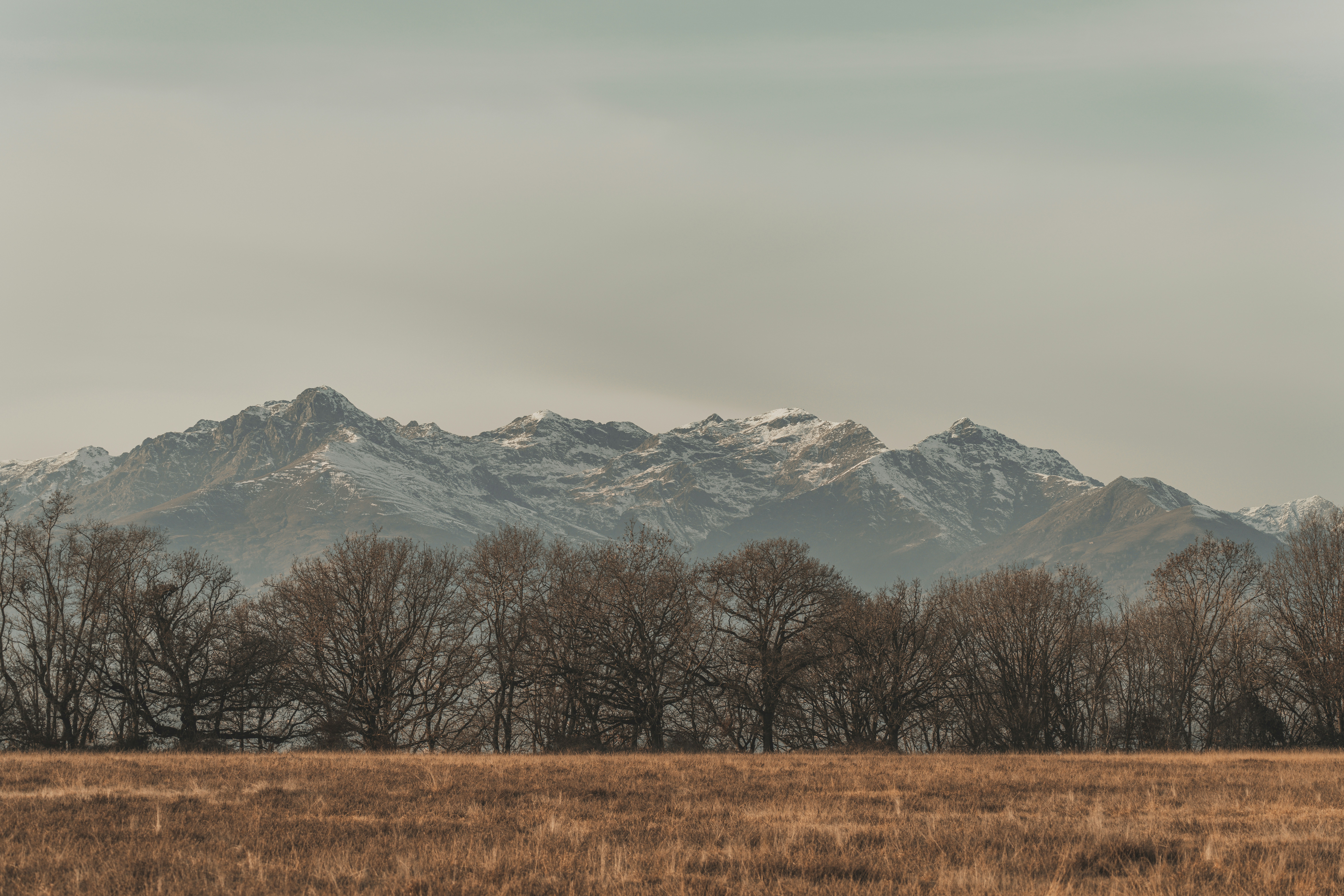 a field with trees and mountains in the background