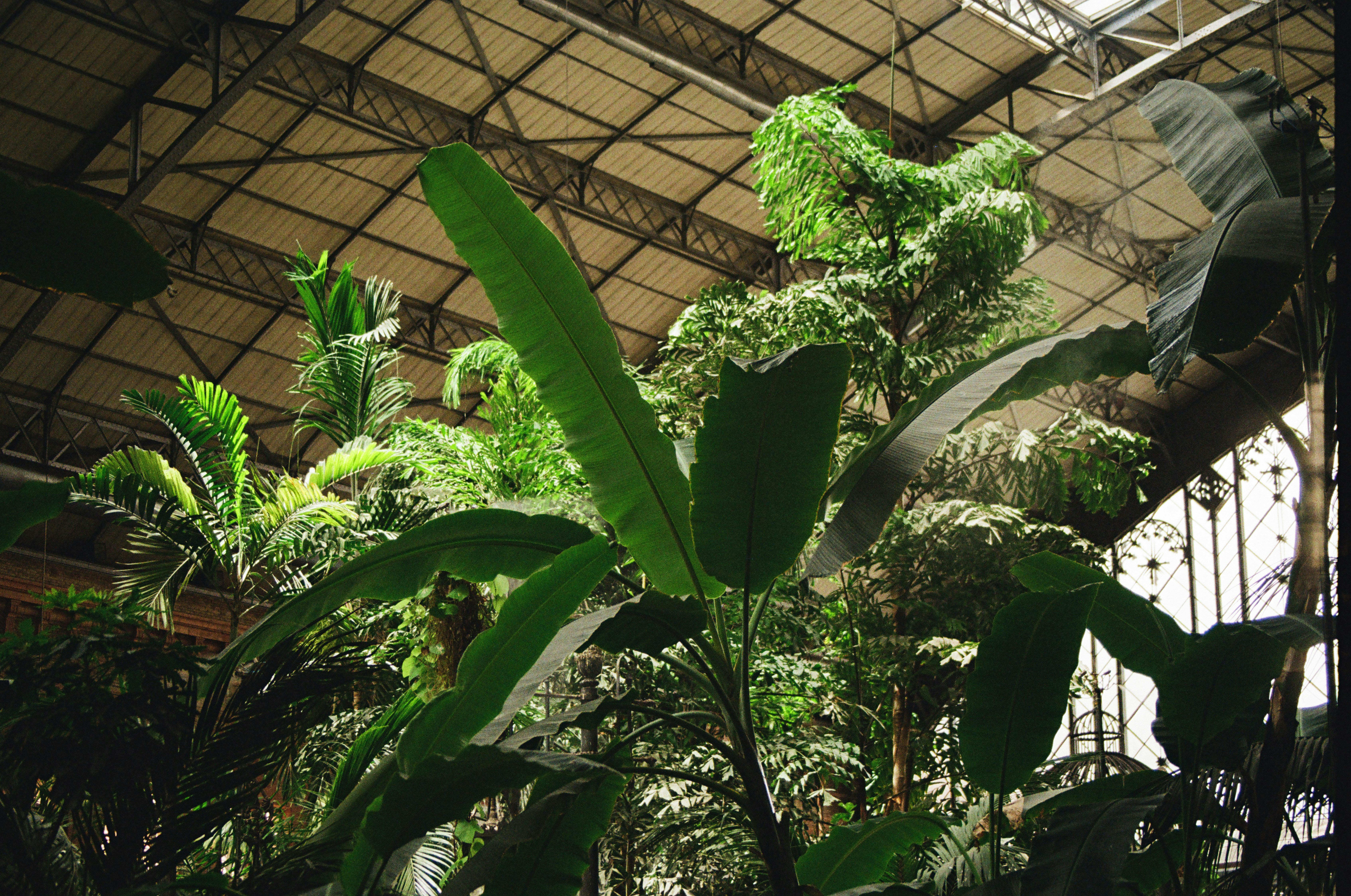 a room filled with lots of green plants