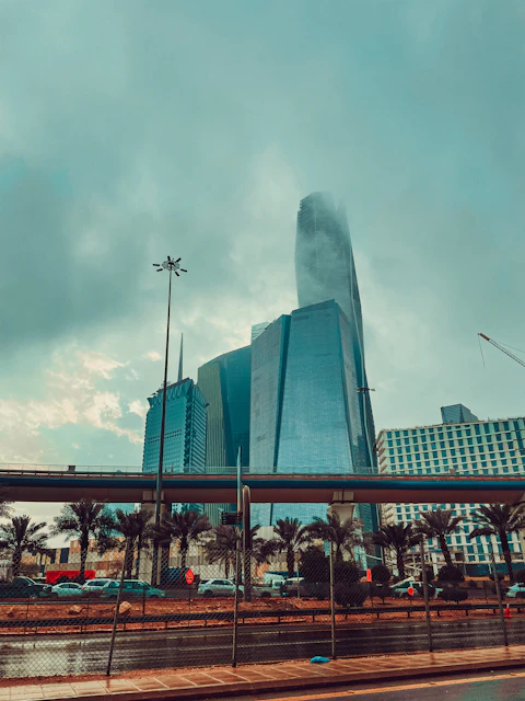 a city skyline with tall buildings and palm trees