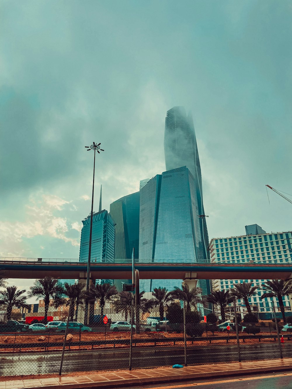 a city skyline with tall buildings and palm trees