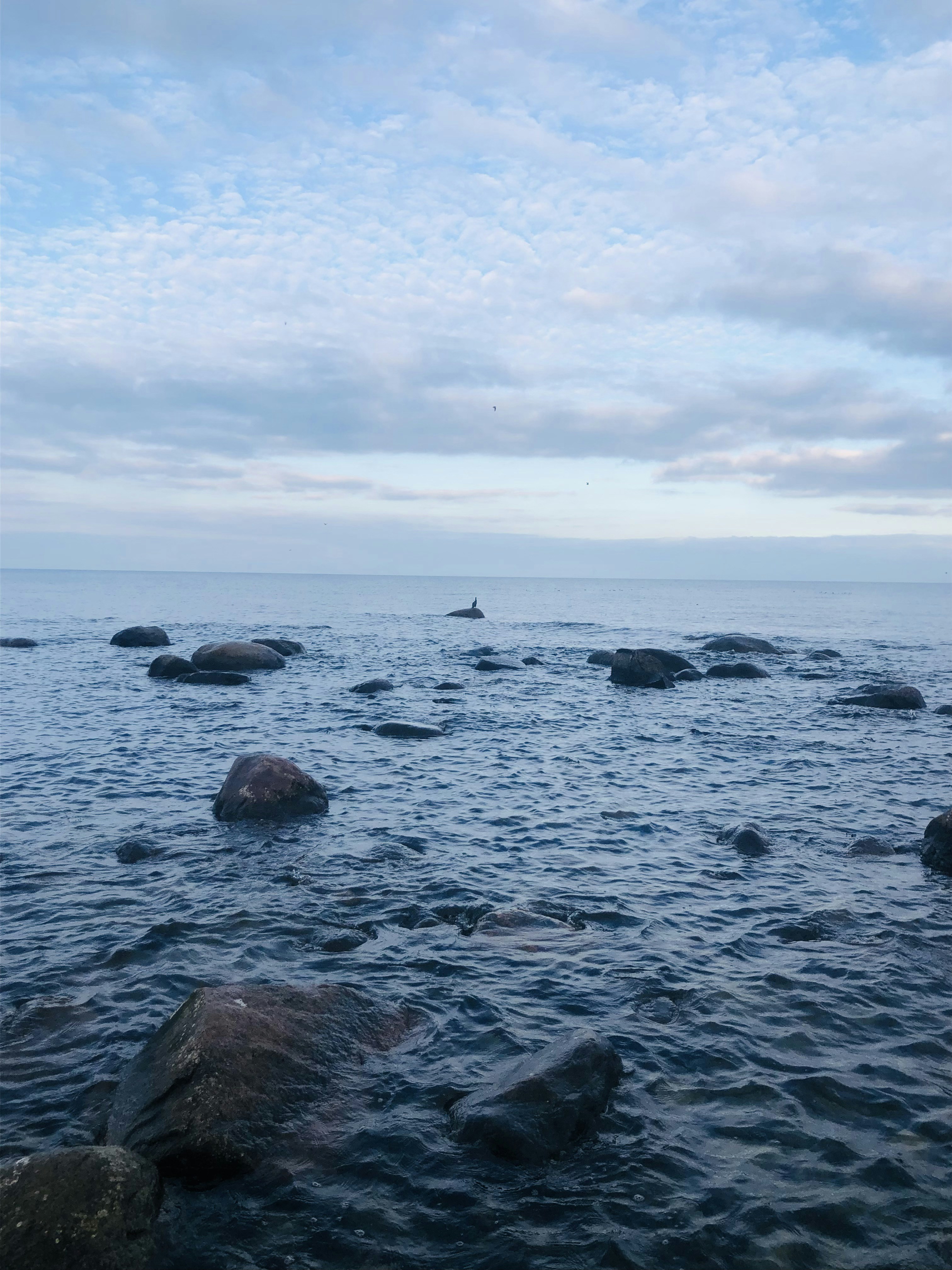 Photo by bartolomeo79