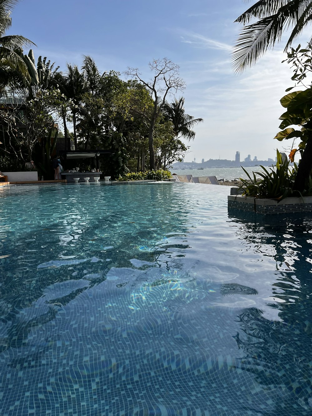 a large swimming pool surrounded by palm trees