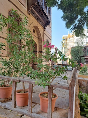 A serene outdoor shot of a creative workspace surrounded by plants and handmade goods.