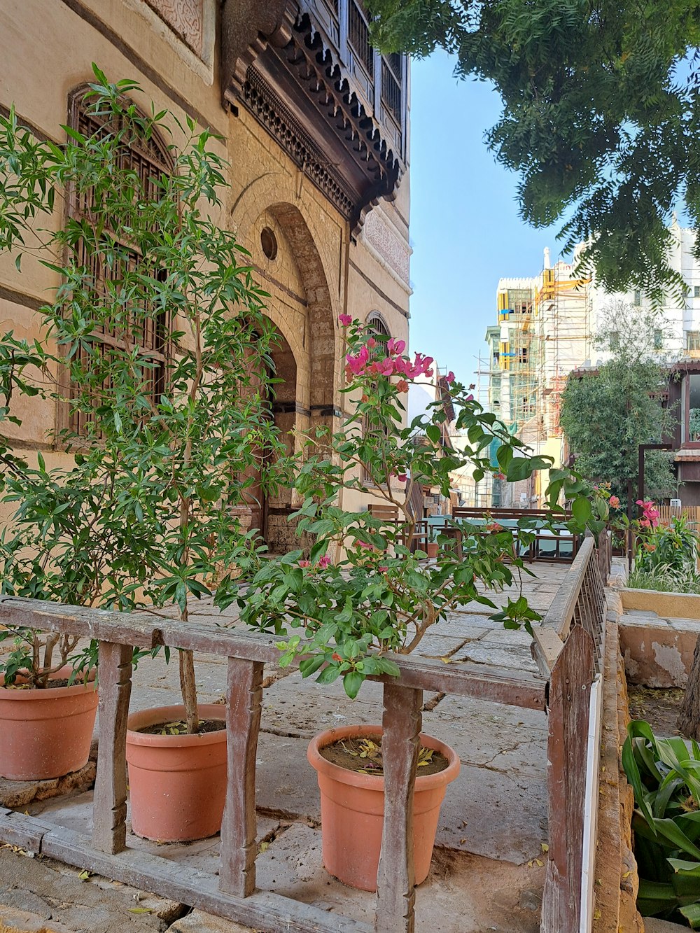 a group of potted plants in front of a building