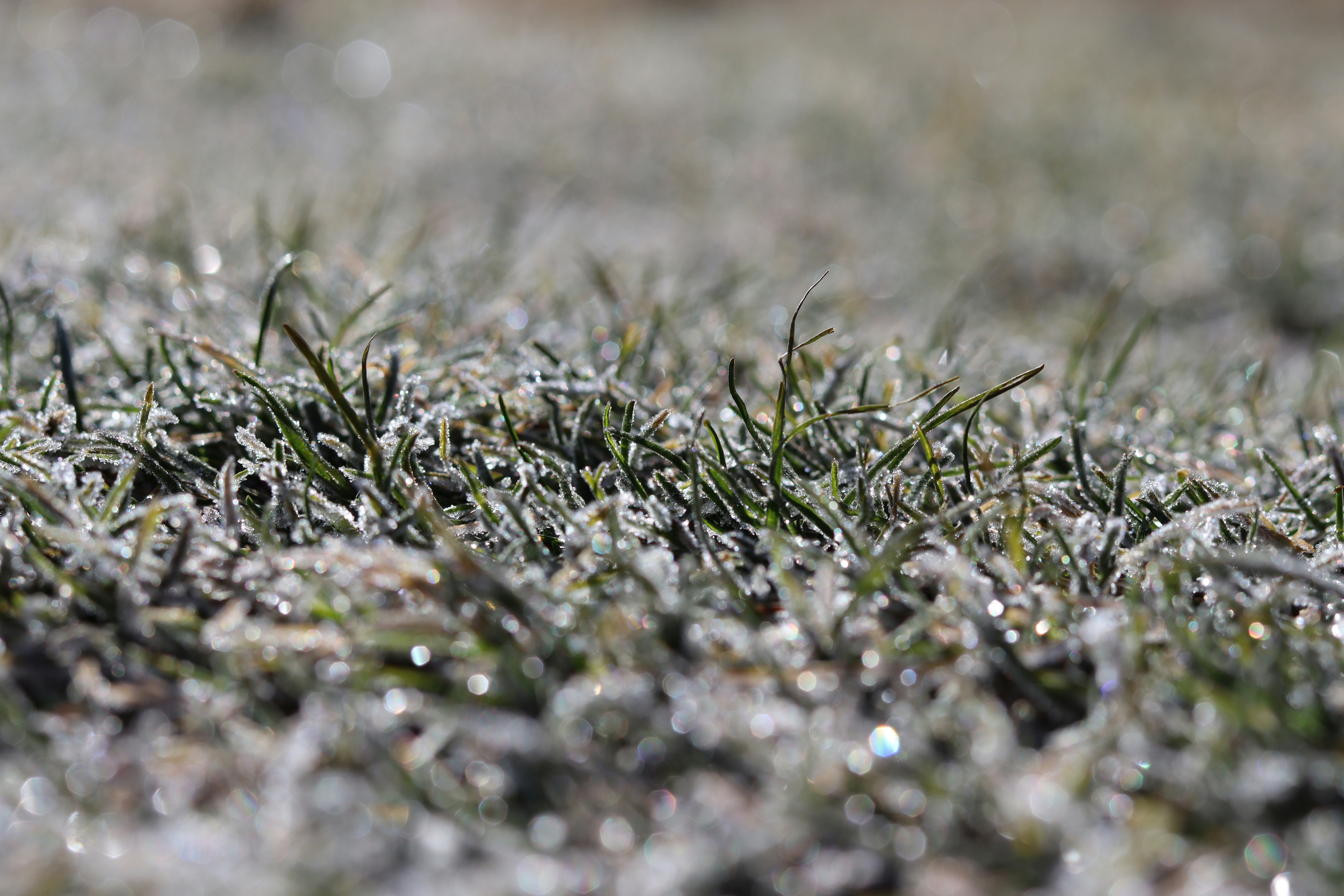 Photo by jaineelparekh