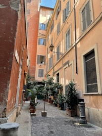 A narrow cobblestone alley flanked by tall, rustic buildings with shuttered windows. The alley is decorated with potted plants and features a vintage street lamp. Warm tones of orange and beige dominate the buildings, creating a cozy, historic ambiance.