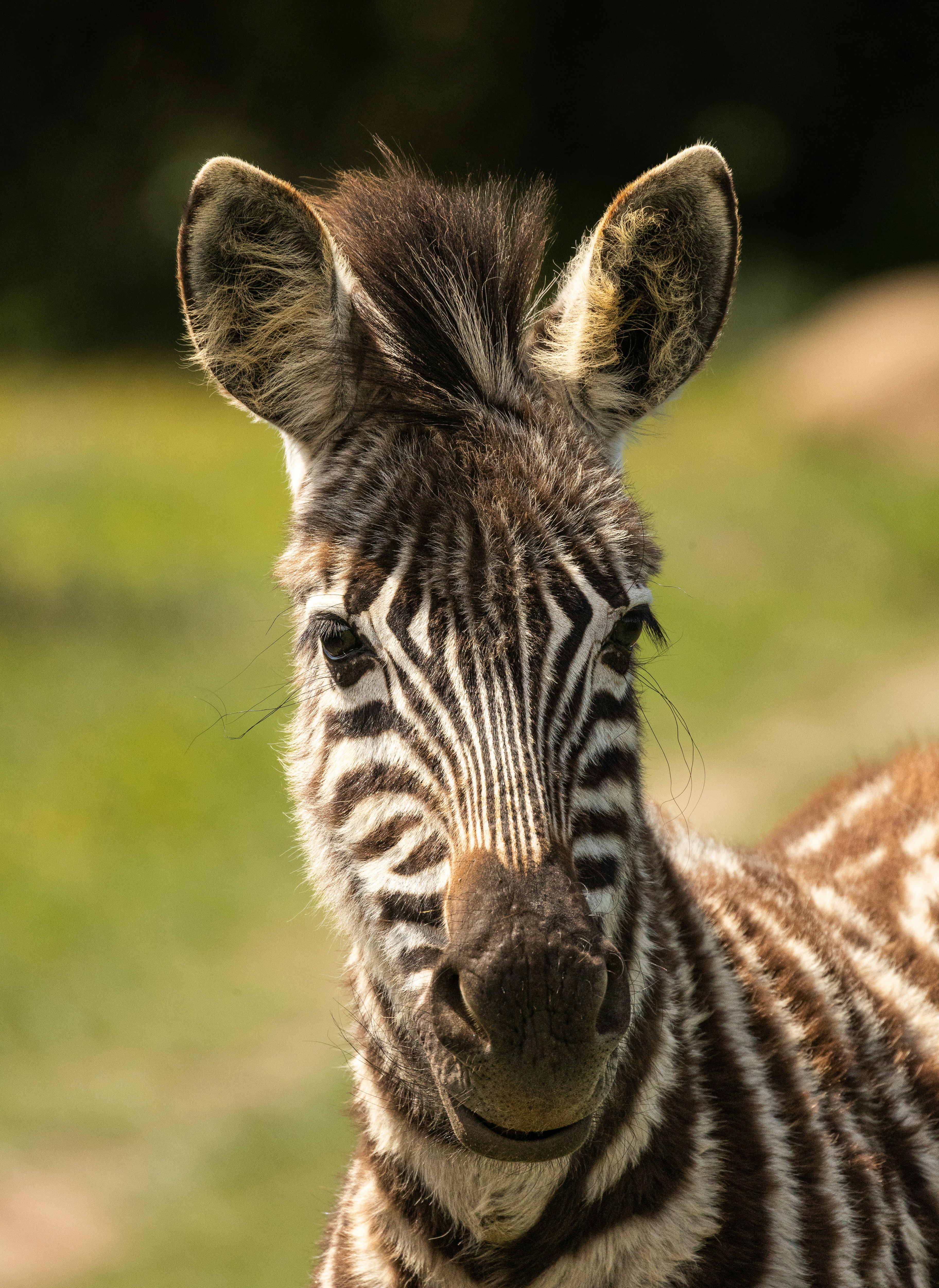 Photo by charl_durand