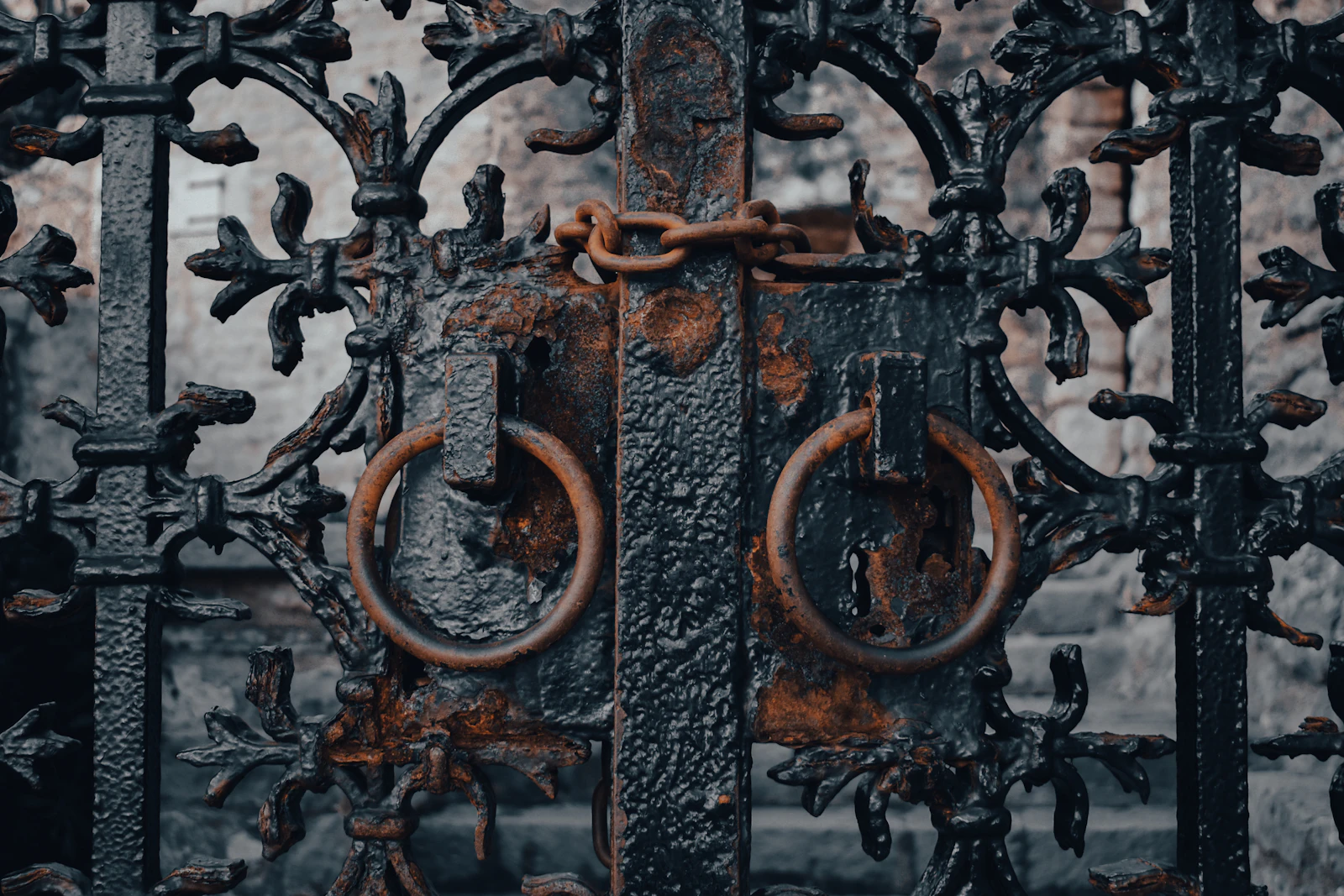 Close-up of an ornate wrought iron gate showing rust and corrosion around its ring handles and latch fittings