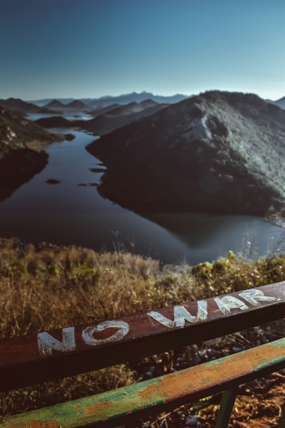 una panchina di legno seduta sulla cima di una collina verde lussureggiante