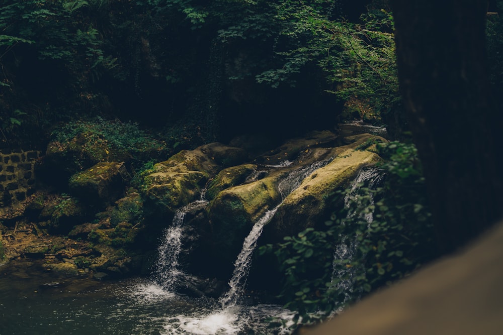 a small waterfall in the middle of a forest