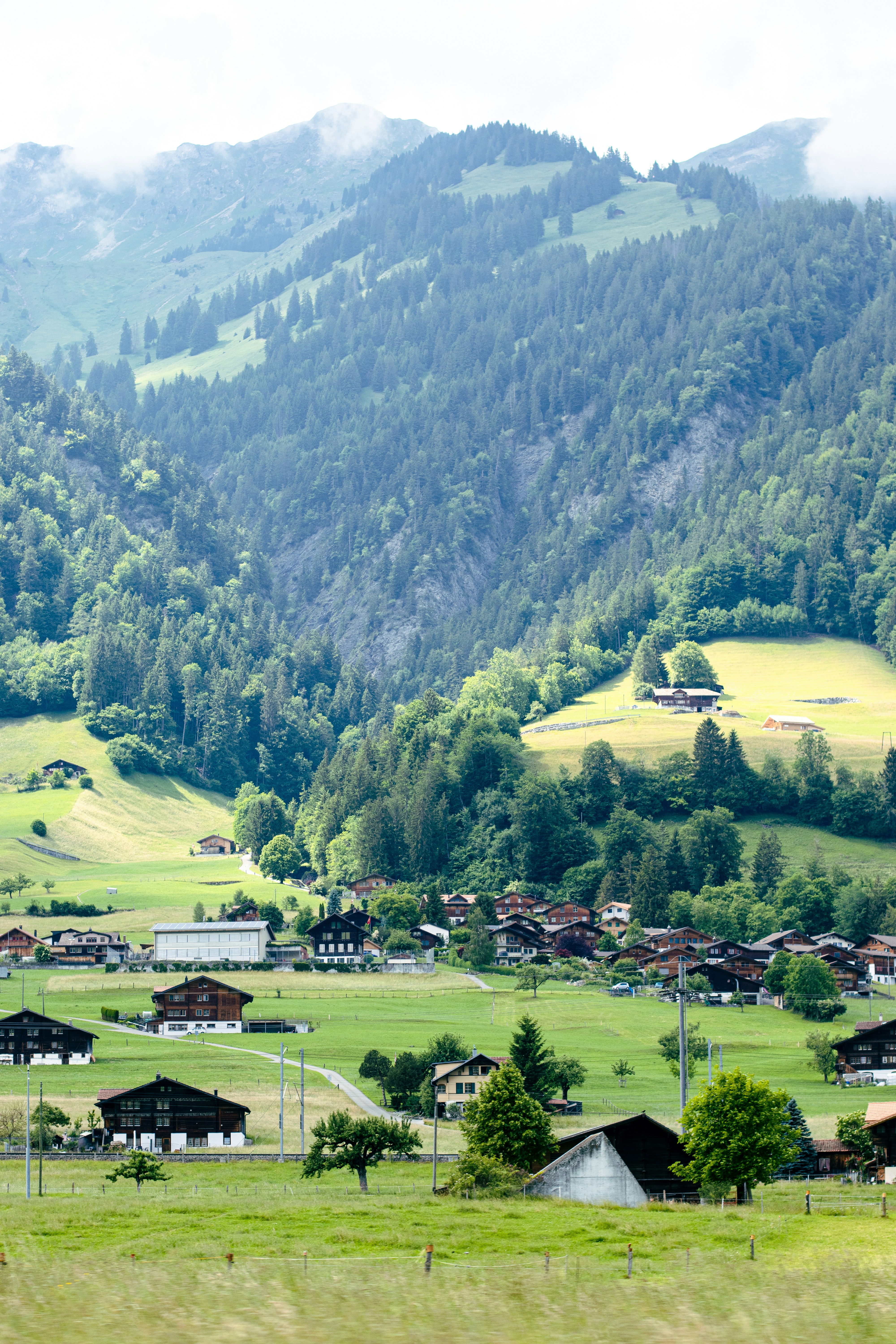 Photo by gerson_lozano