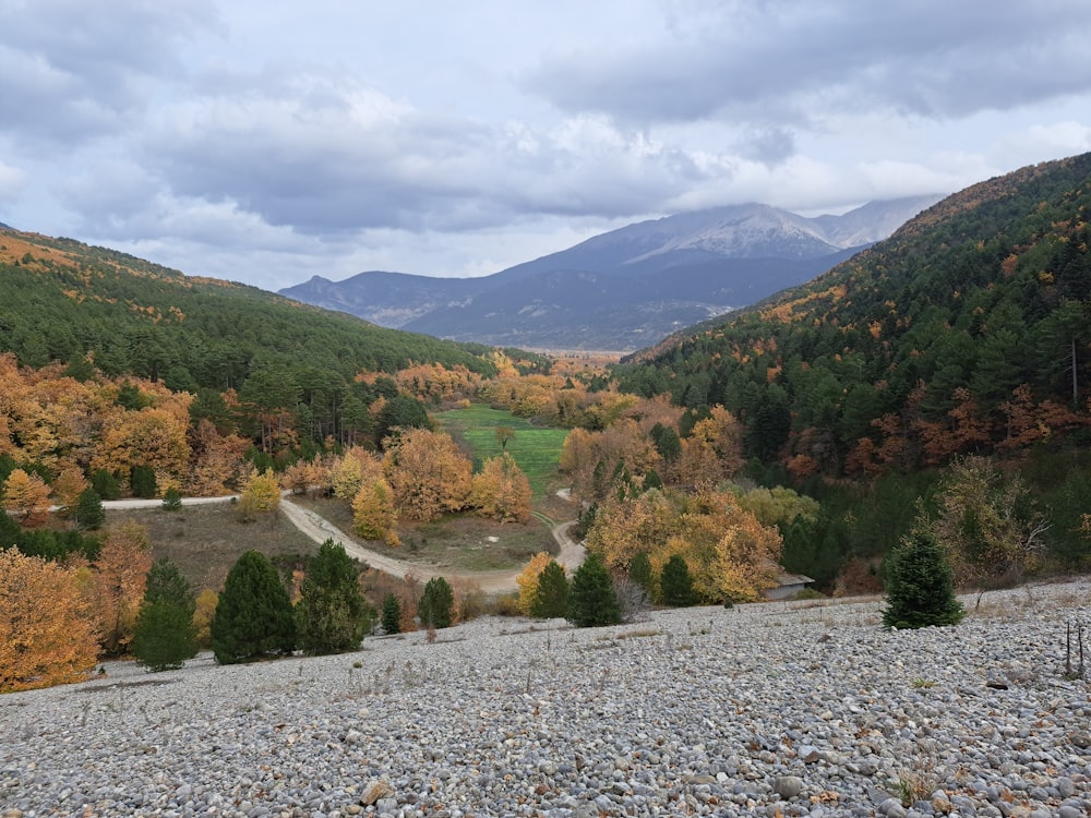 a scenic view of a valley surrounded by mountains