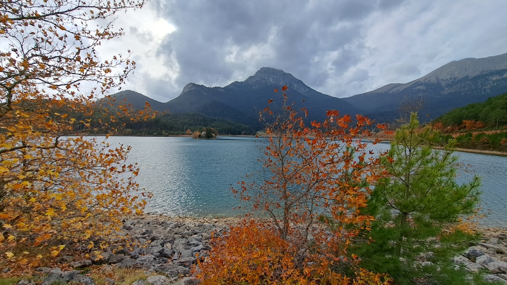 um corpo de água cercado por montanhas e árvores