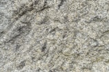 Close-up of polished Andesite stone with unique patterns.