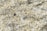 a close up of a granite surface with a brown spot