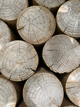 a pile of cut logs stacked on top of each other