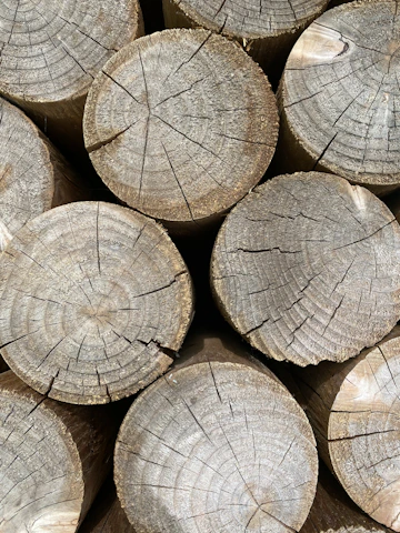 a pile of cut logs stacked on top of each other