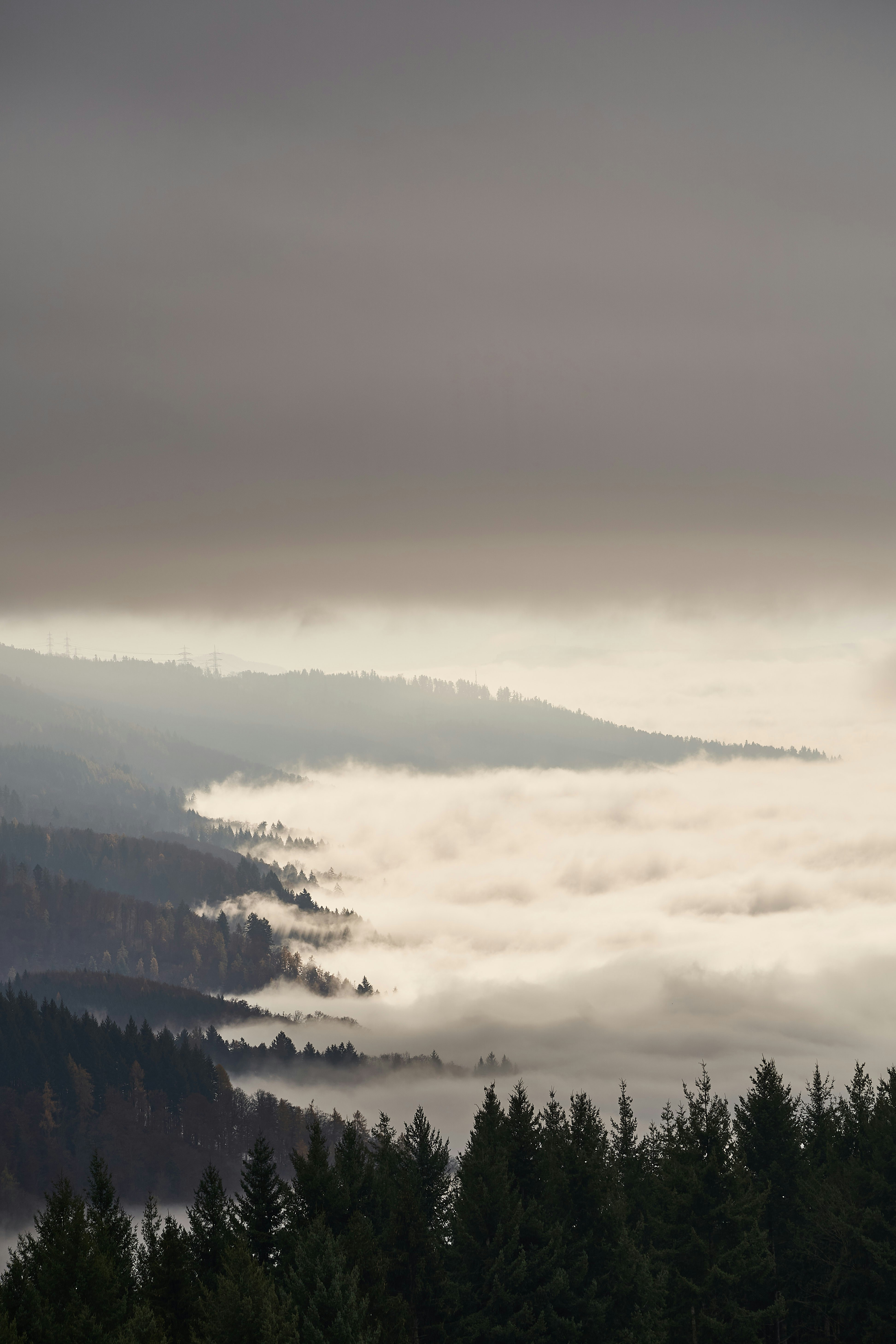 Photo by wolfgang_hasselmann