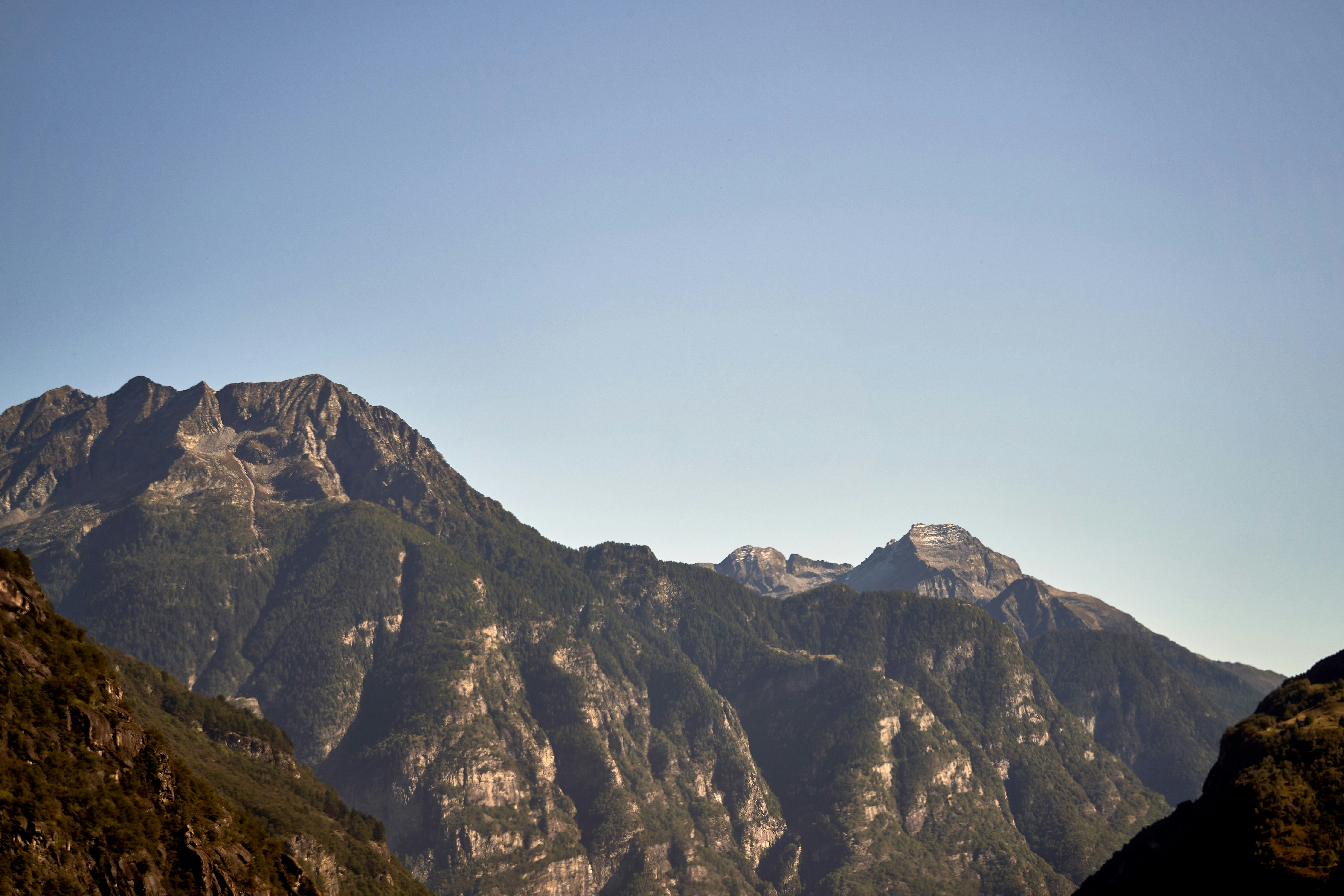 Photo by wolfgang_hasselmann